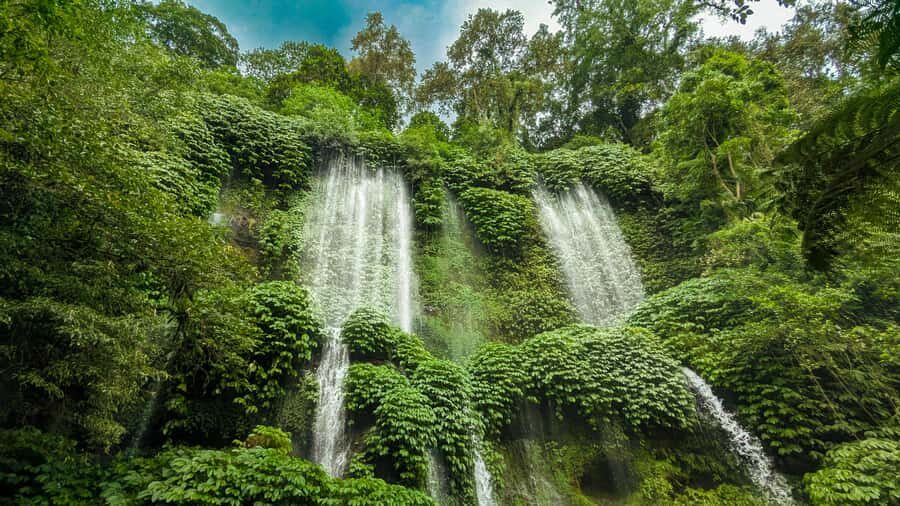 Lombok: Waterfall & Rice Field with Coffee Roasting - What Makes This Tour Stand Out?