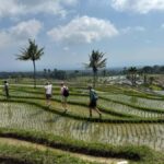 Lombok Waterfalls & Bukit Selong Private Tour - Why This Tour Offers Great Value