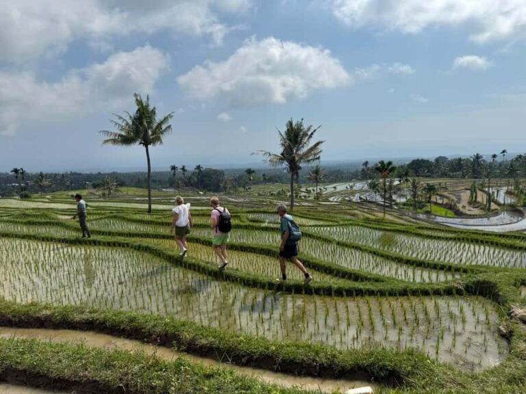 Lombok Waterfalls & Bukit Selong Private Tour - Why This Tour Offers Great Value