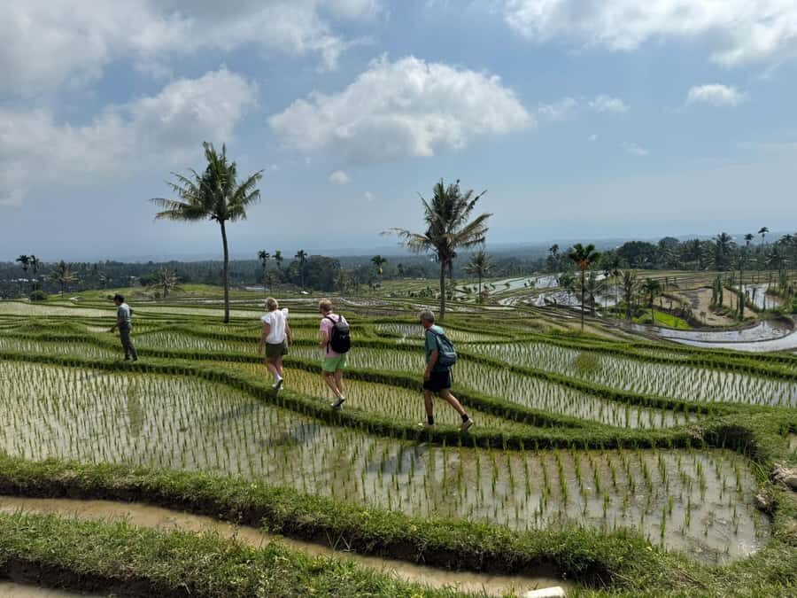 Lombok Waterfalls & Bukit Selong Private Tour - Why This Tour Offers Great Value
