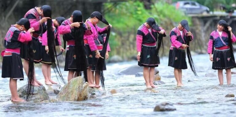 Longji Rice Terraces: 1-Day Private Tour - Detailed Breakdown of the Tour