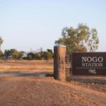 Longreach: The best way to experience outback station life - The Experience in Detail: Why It Matters