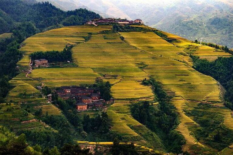 Longsheng Ethnic Minority & Rice Terraces Full-Day Tour - Village Visits and Cultural Encounters