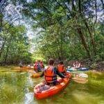 Los Haitises: Sunrise or Sunset wildlife focus - What to Expect on the Day