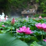 Lotus Hill Ancient Quarry Big Buddha Art AncientTown Private Tour - Practical Details That Matter