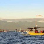 Lovina: Dolphin Watching Snorkeling Tour And Ocean Swing - Who Should Book This Tour?