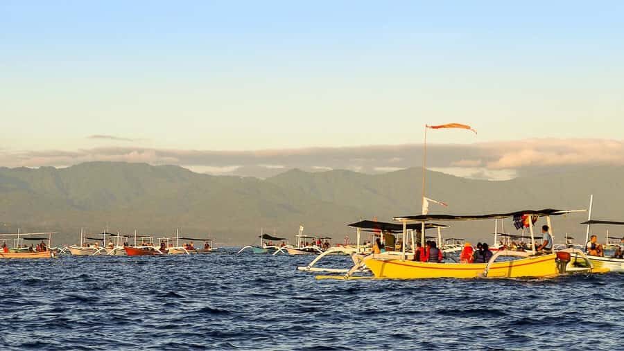 Lovina: Dolphin Watching Snorkeling Tour And Ocean Swing - Who Should Book This Tour?