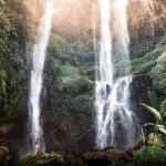 Lovina Package Tours ( Inclusive ) - A Closer Look at the Tour Itinerary