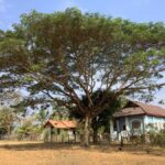 Luang Prabang: Hmong Village + Rafting Day Trip - What Makes This Tour Stand Out