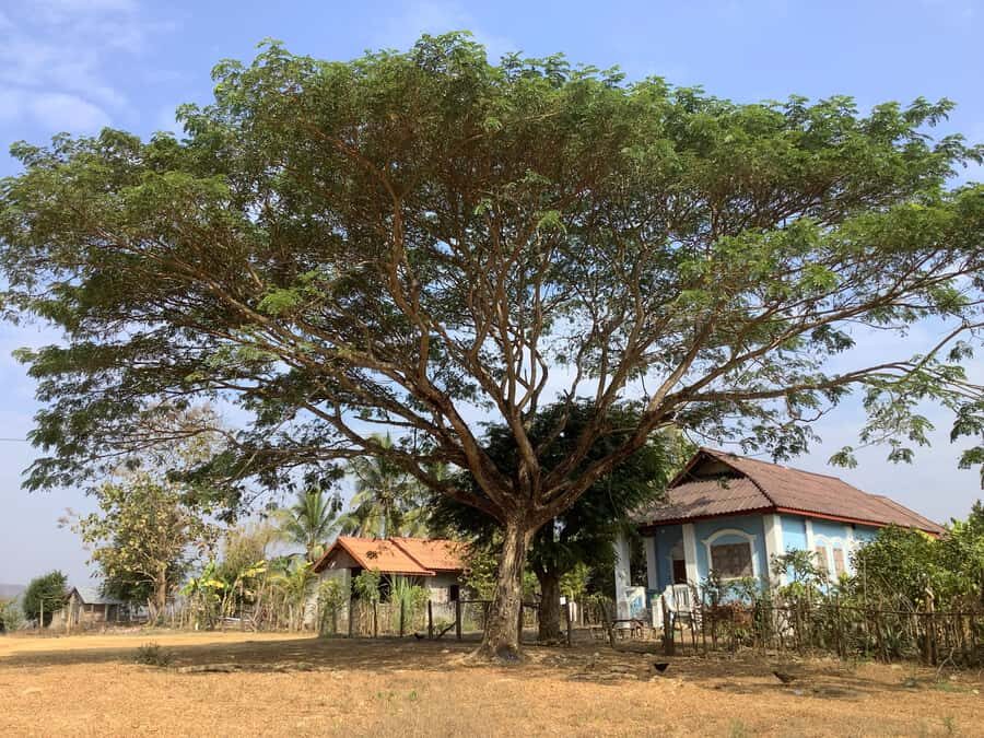 Luang Prabang: Hmong Village + Rafting Day Trip - What Makes This Tour Stand Out