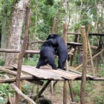 LUANG PRABANG WILDLIFE SANCTUARY - HMONG TRIBE VILLAGE - What to Expect From the Tour