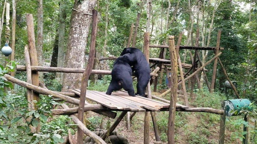 LUANG PRABANG WILDLIFE SANCTUARY - HMONG TRIBE VILLAGE - What to Expect From the Tour