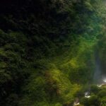 Lumajang or Malang: Kabut Pelangi Waterfall Guided Tour - What Makes This Tour Stand Out?