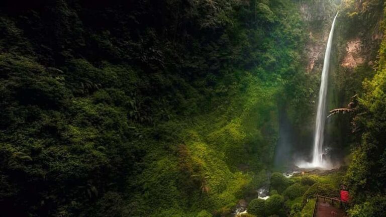 Lumajang or Malang: Kabut Pelangi Waterfall Guided Tour - What Makes This Tour Stand Out?