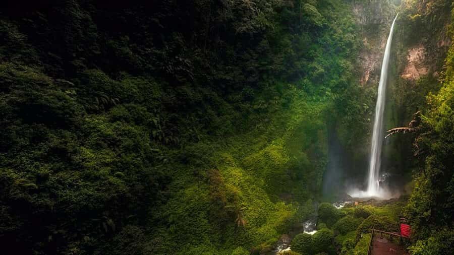 Lumajang or Malang: Kabut Pelangi Waterfall Guided Tour - What Makes This Tour Stand Out?