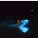 Luminous Lagoon Experience: Ocho Rios Runaway Bay & Falmouth - The Practical Aspects