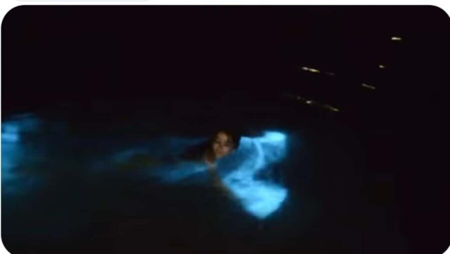 Luminous Lagoon Experience: Ocho Rios Runaway Bay & Falmouth - The Practical Aspects