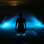 Luminous Lagoon (Glistening Waters) Private - Final Thoughts