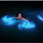 Luminous lagoon: Night Tour from Falmouth Hotels and Villas - Itinerary Breakdown