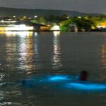 Luminous Lagoon Sightseeing Tour in Montego Bay - What Travelers Say: Authentic Insights
