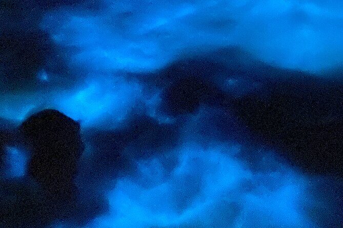 Luminous Lagoon Tour - Why is the bioluminescence so special?