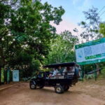 Lunugamwehera NP (Block VI) Morning Safari Game Drive - Why Choose the Lunugamwehera NP Morning Safari?