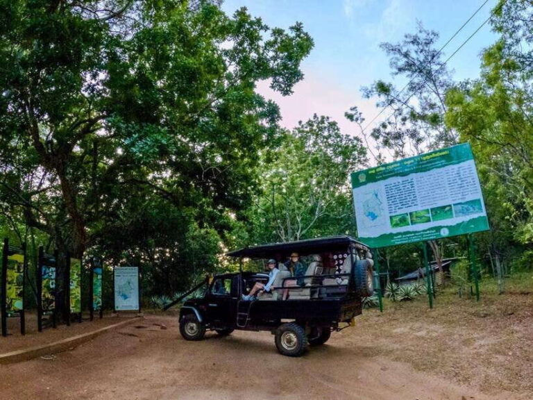 Lunugamwehera NP (Block VI) Morning Safari Game Drive - Why Choose the Lunugamwehera NP Morning Safari?