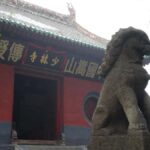 Luoyang: Day tour from Xian or LuoYang with tickets options - The Practical Side: Transportation, Timing, and Value