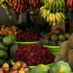 Luxury Day Trip from Colombo to Pinnawala and Kandy Highlights - Who Should Consider This Tour?