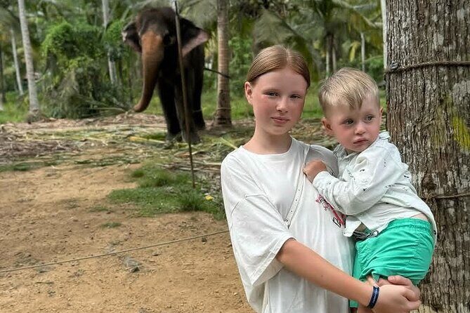 Luxury Day Trip from Colombo to Pinnawala and Kandy Highlights - In-Depth Breakdown of the Tour Itinerary