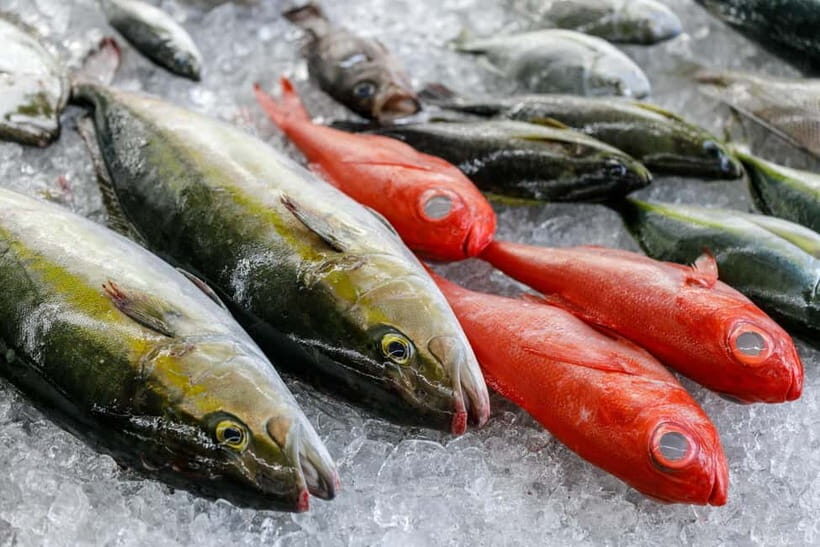 Luxury Fish Shop Tour : Exclusive Backyard Experience - Who Will Love This Experience?