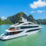 Luxury Halong Bay Day Tour from Hanoi  Buffet, Jacuzzi & Views - What Makes This Tour Stand Out?