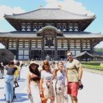 Luxury Kyoto 1-Day Private Car Tour with Nara & Osaka Options - Transportation and Price: What’s the Value?