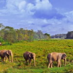 Luxury Nepal Tour: Kathmandu, Chitwan & Pokhara- Private Car - Authentic Experiences & Local Insights