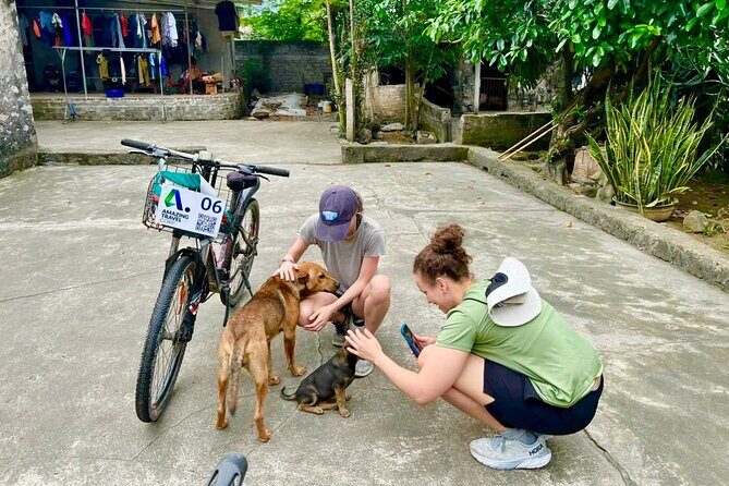 Luxury Private Tour from Hanoi to Mua Caves, Tam Coc & Hoa Lu - The Value Proposition  