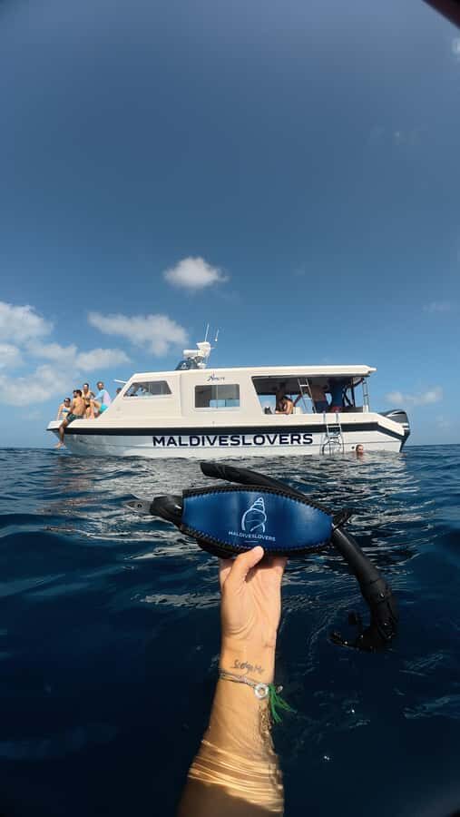 Maafushi: Turtles, Dolphins, and Coral Reef Adventure - The Details: How the Tour Works