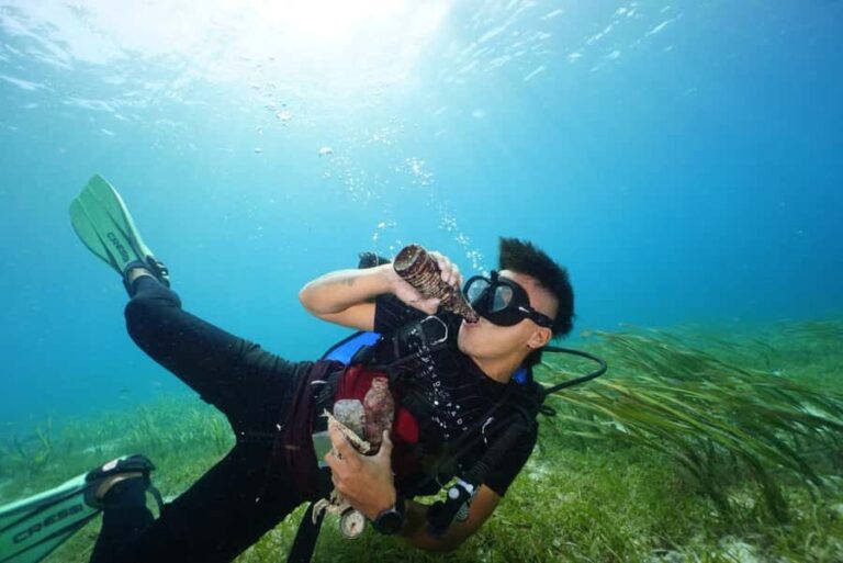 Mactan Sanctuary: Discover Scuba Diving, Island Hop, & Lunch - Practical Details & What to Expect