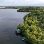 Madu River Boat Cruise & Cinnamon Garden All Inclusive Tour - FAQs