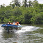 Madu River Boat Safari: A Journey Through Nature's Paradise - FAQs