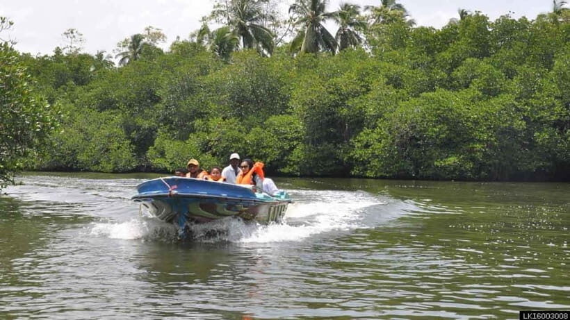 Madu River Boat Safari: A Journey Through Nature's Paradise - FAQs