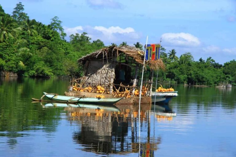 Madu River Boat Safari and Tuk-Tuk Tour Pickup & Drop-off - An In-Depth Look at the Experience