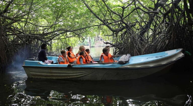 Madu River Boat Tour and Cinnamon Garden visit - Exploring the Madu River: What to Expect