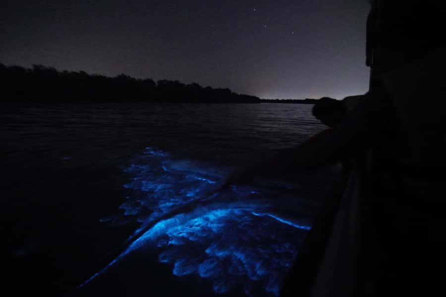 Magical Blue Tears Night Boat Tour in Kuala Selangor - FAQ