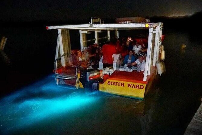 Magical Luminous Lagoon Private Tour - Practical Considerations and Tips