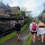 Magical Village Tour & Private Dinner with Fireflies in Bali - Who Will Love This Experience?