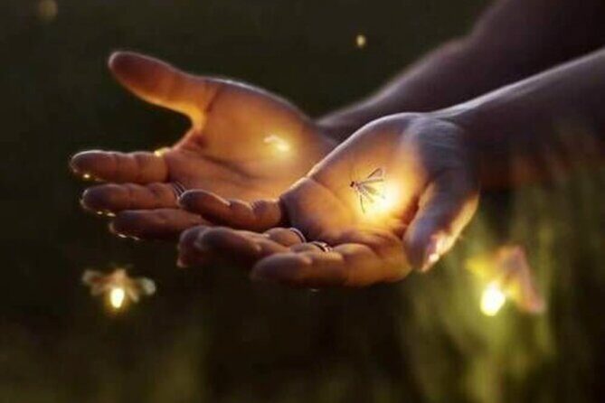 Magical Village Tour & Private Dinner with Fireflies in Bali - Final thoughts