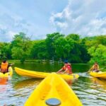Mahiyanganaya: Sorabora Lake Kayaking Tour with Pickup - A Closer Look at the Sorabora Lake Kayaking Experience