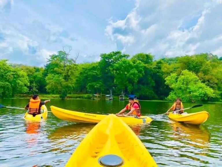 Mahiyanganaya: Sorabora Lake Kayaking Tour with Pickup - A Closer Look at the Sorabora Lake Kayaking Experience