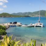 Maho Bay Turtle Snorkel with Lunch and Bar at Frenchman's Reef - What Makes This Tour Stand Out?
