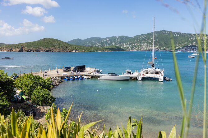 Maho Bay Turtle Snorkel with Lunch and Bar at Frenchman's Reef - What Makes This Tour Stand Out?